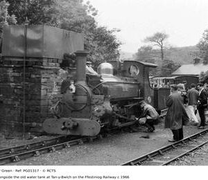 PG01317