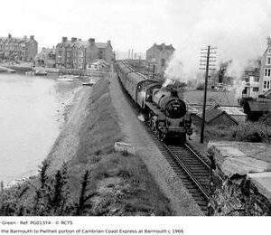 PG01374