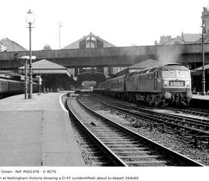 PG01378