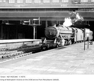 PG01380
