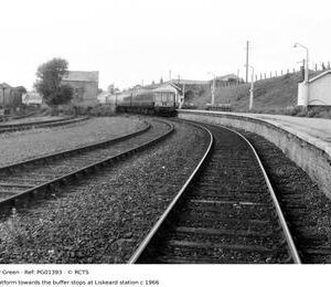 PG01393