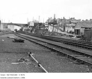 PG01399