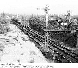 PG01446