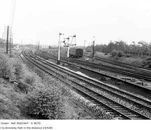 PG01447