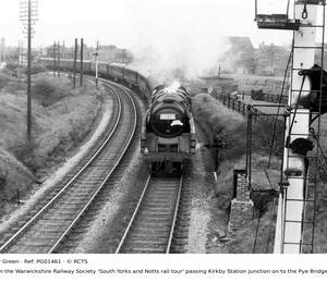 PG01461