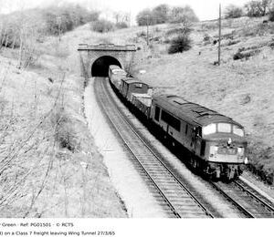 PG01501
