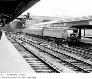 PG01503