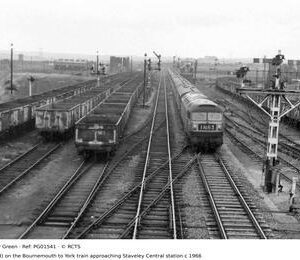 PG01541