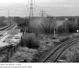 PG01547