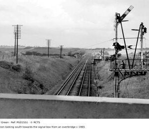 PG01551