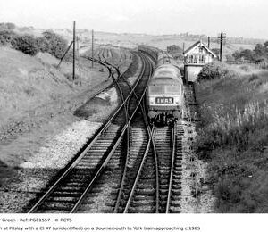 PG01557