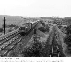 PG01563
