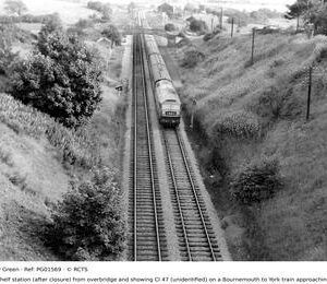 PG01569