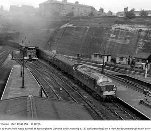 PG01597