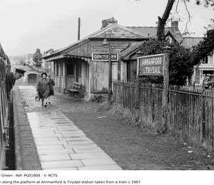PG01809