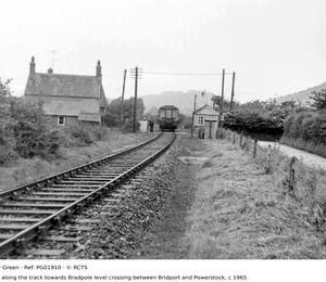 PG01910