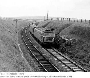 PG01939