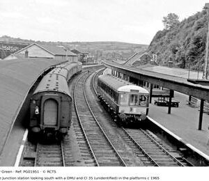 PG01951