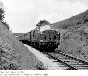 PG01966