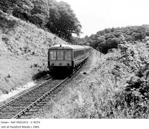 PG01973