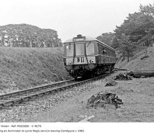 PG02006