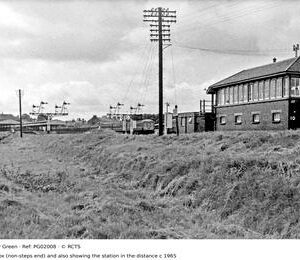 PG02008