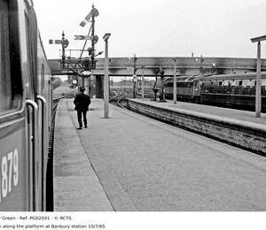 PG02031