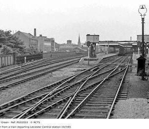 PG02033