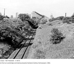 PG02036
