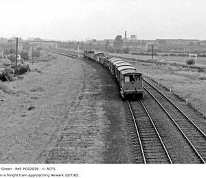 PG02039
