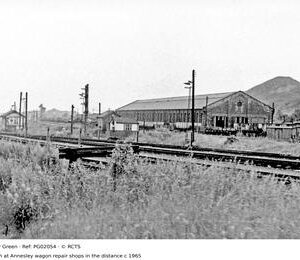 PG02054