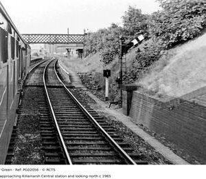 PG02056