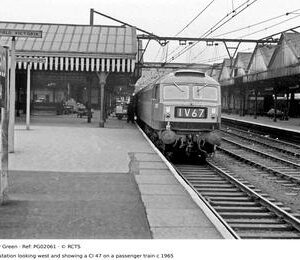 PG02061