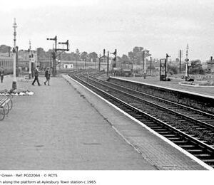 PG02064