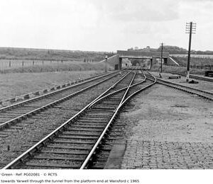 PG02081