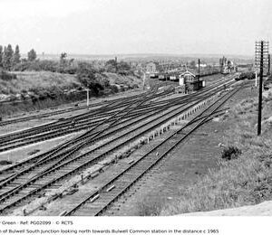PG02099