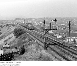 PG02113