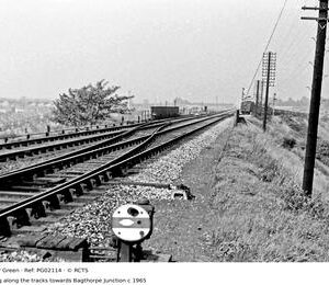 PG02114