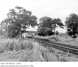 PG02116