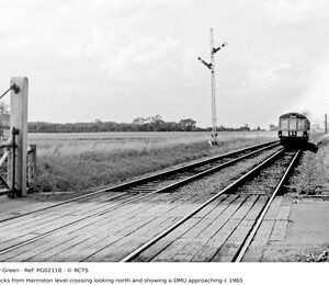 PG02118