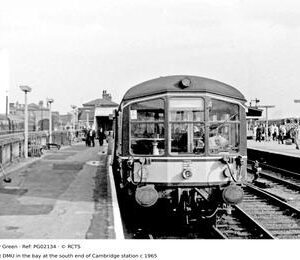PG02134