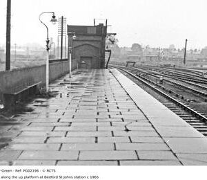 PG02196