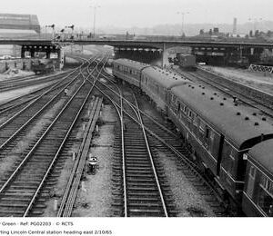 PG02203