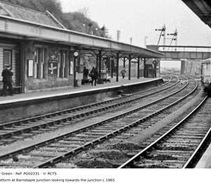 PG02231