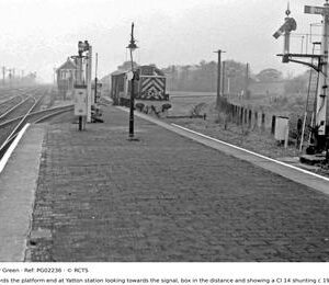 PG02236