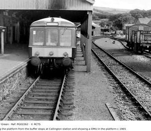 PG02262