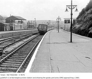 PG02309