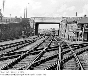 PG02313