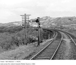 PG02317