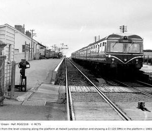 PG02318